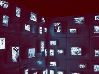 Полеты на парапланах в горах Красной Поляны