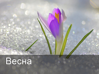 Весна