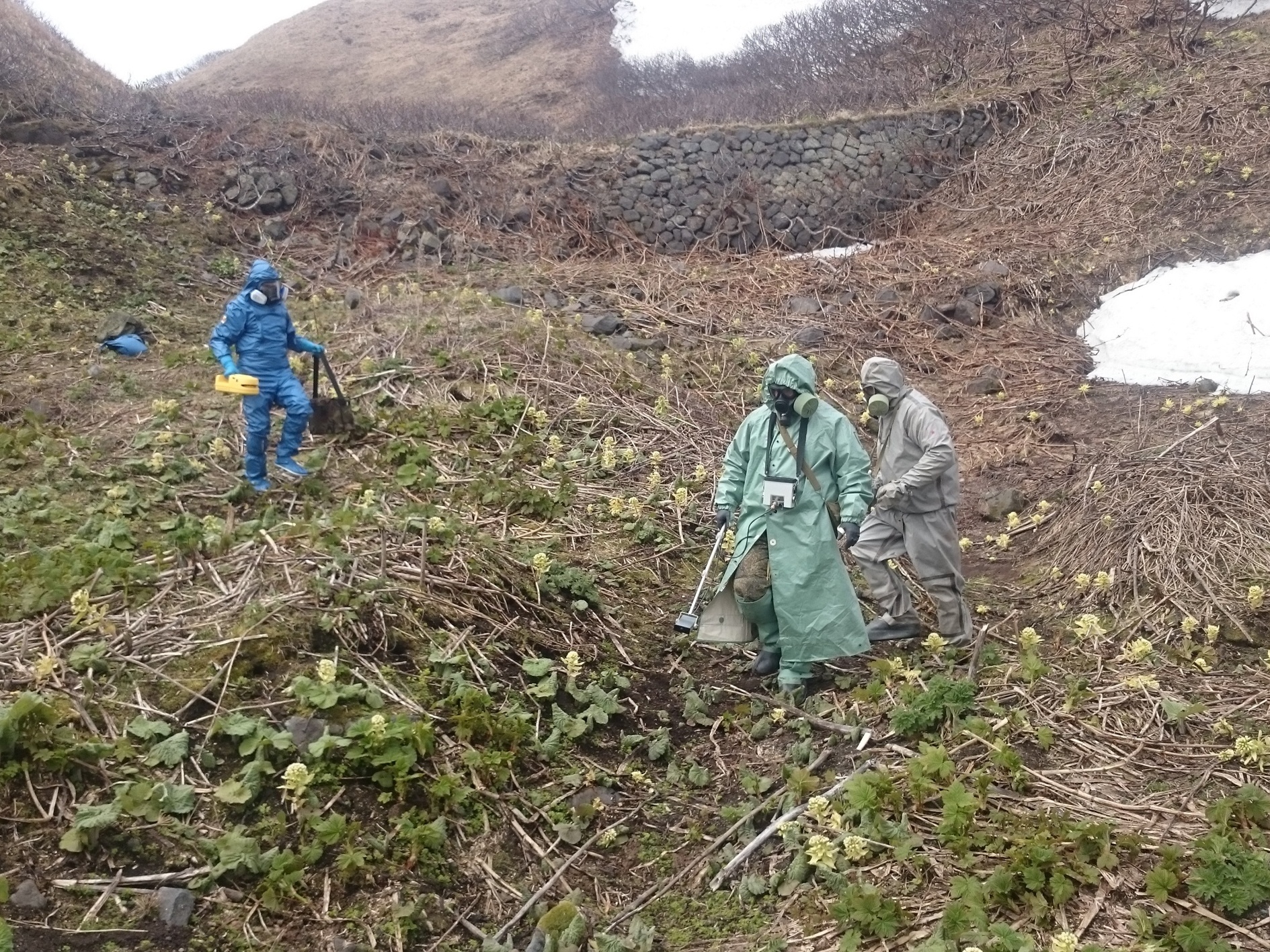 Призраки острова Матуа