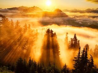 С первыми лучами солнца