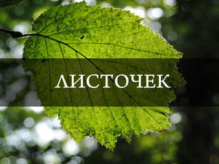 Листочек