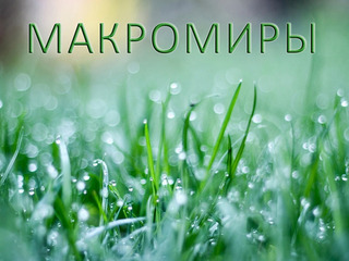 Макромиры