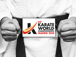 Каратэ. Чемпионат мира