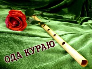 Ода кураю