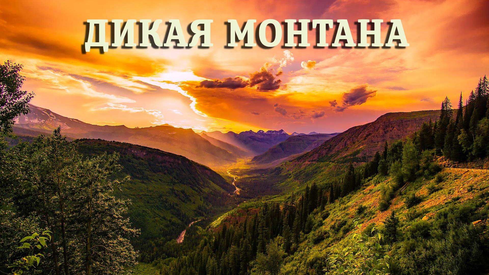 Дикая Монтана