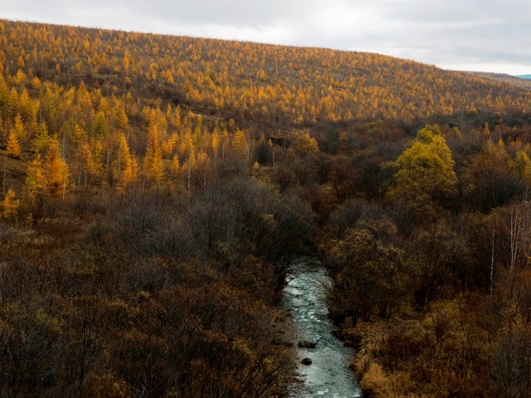 Река Чистоводная