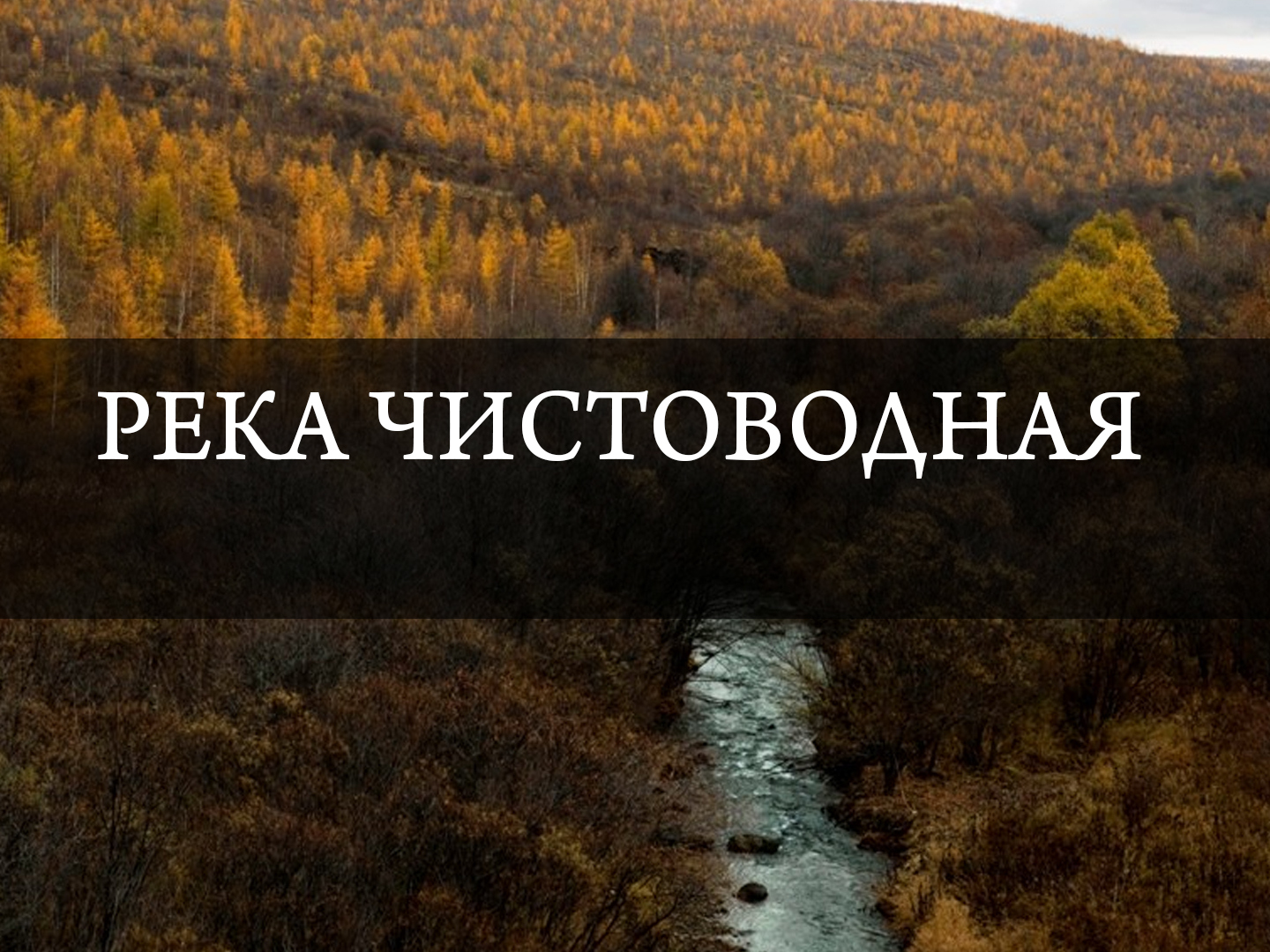 Река Чистоводная