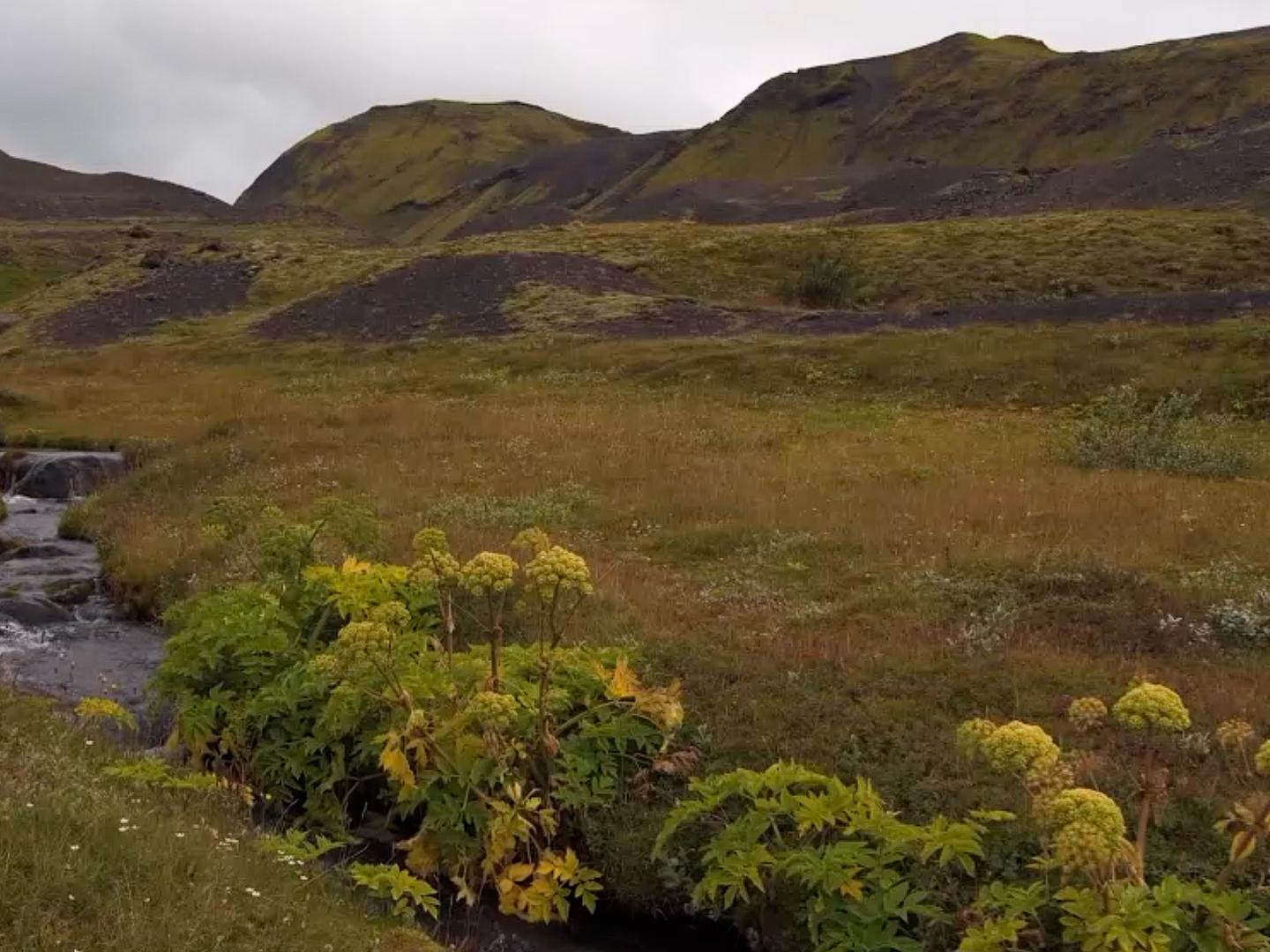 Долина Эмструар