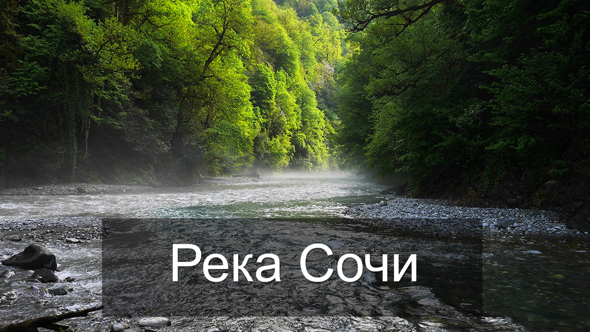 Река Сочи