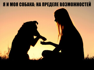 Я и моя собака: на пределе возможностей