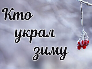 Кто украл зиму