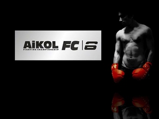 Шоу AIKOL FC 6 "Кубок Дружбы народов" (ММА, профессионалы. Москва (Россия). 27 октября 2018 года