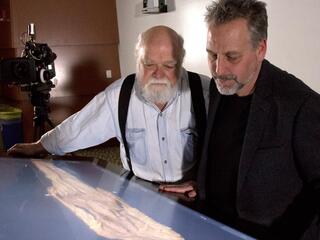 Женщина в железном гробу