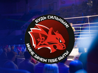 Шоу Битва Номадов 11 (ММА, профессионалы). Талдыкорган (Казахстан). 8 декабря 2018 года