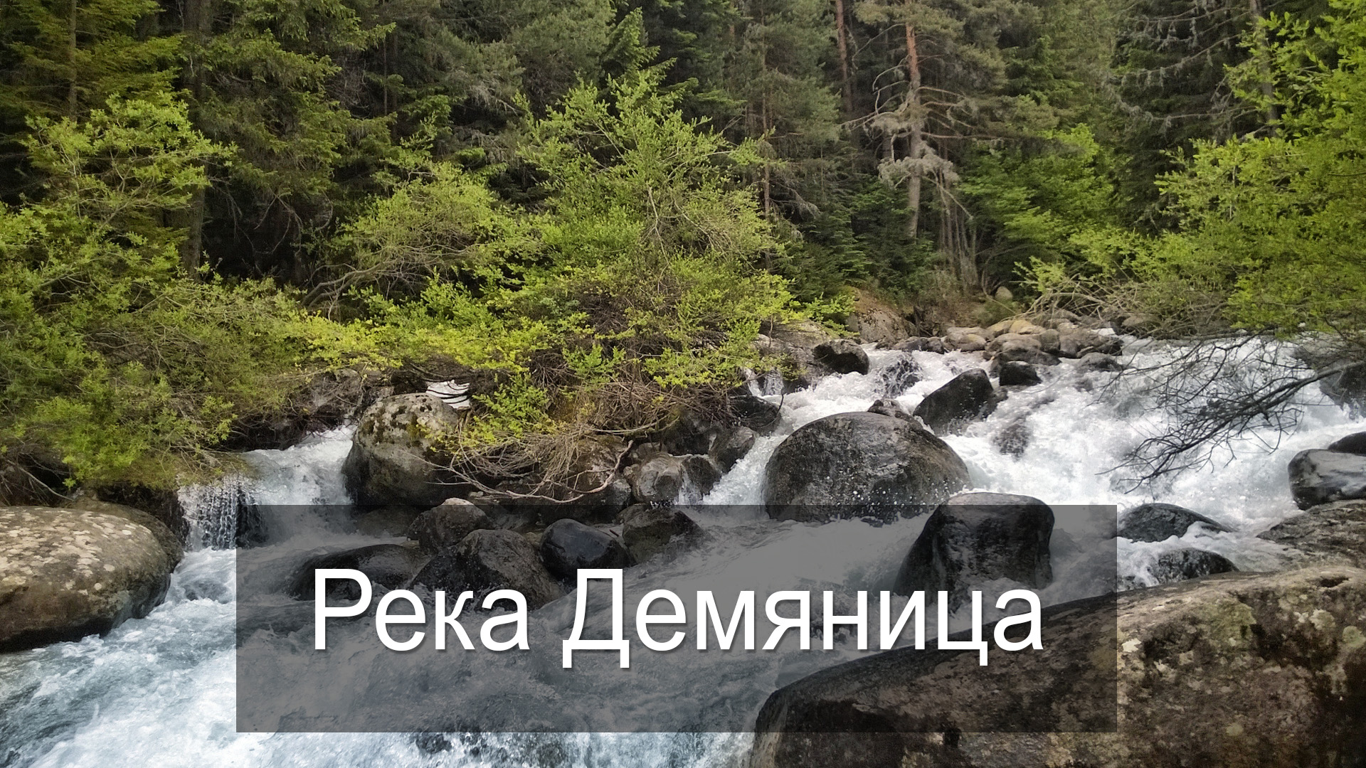 Река Демяница