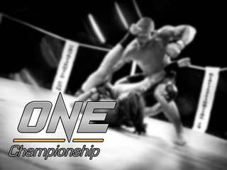 Смешанные единоборства ONE FC