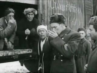 41-йил олмалари