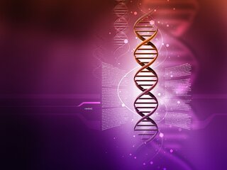 Человечество на заказ. Революция в генетике