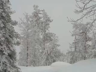 Гора Волосяная