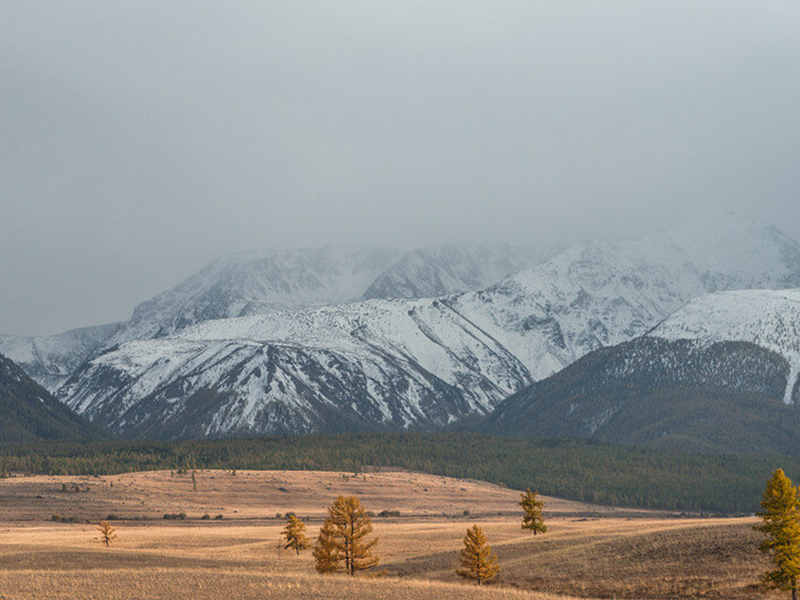 Курайская степь