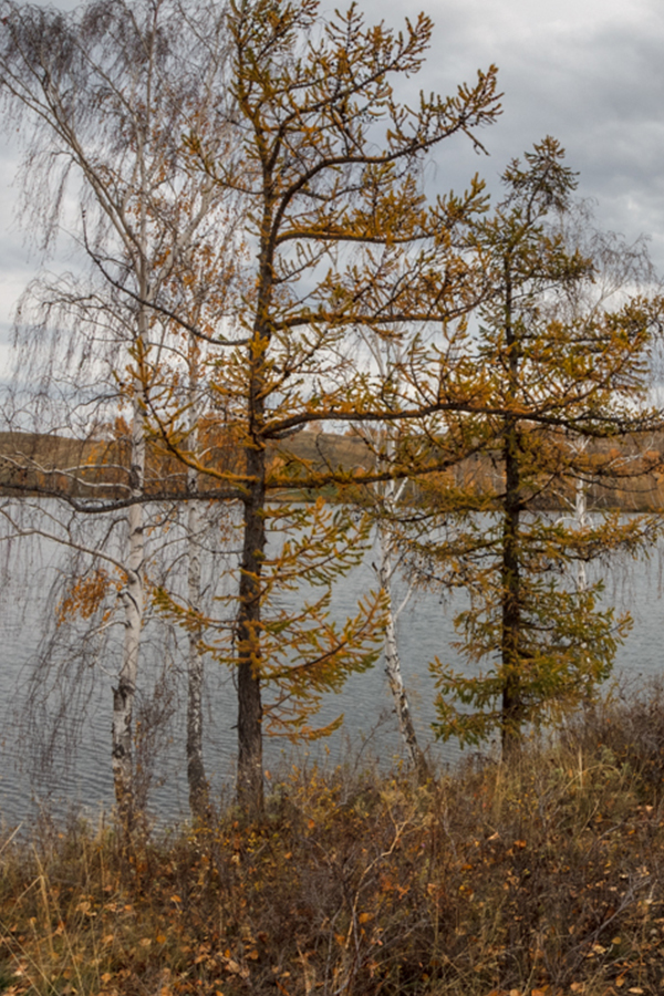 Озеро Сарыкуль