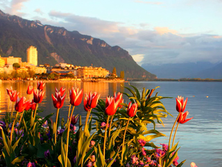 Цунами на Женевском озере