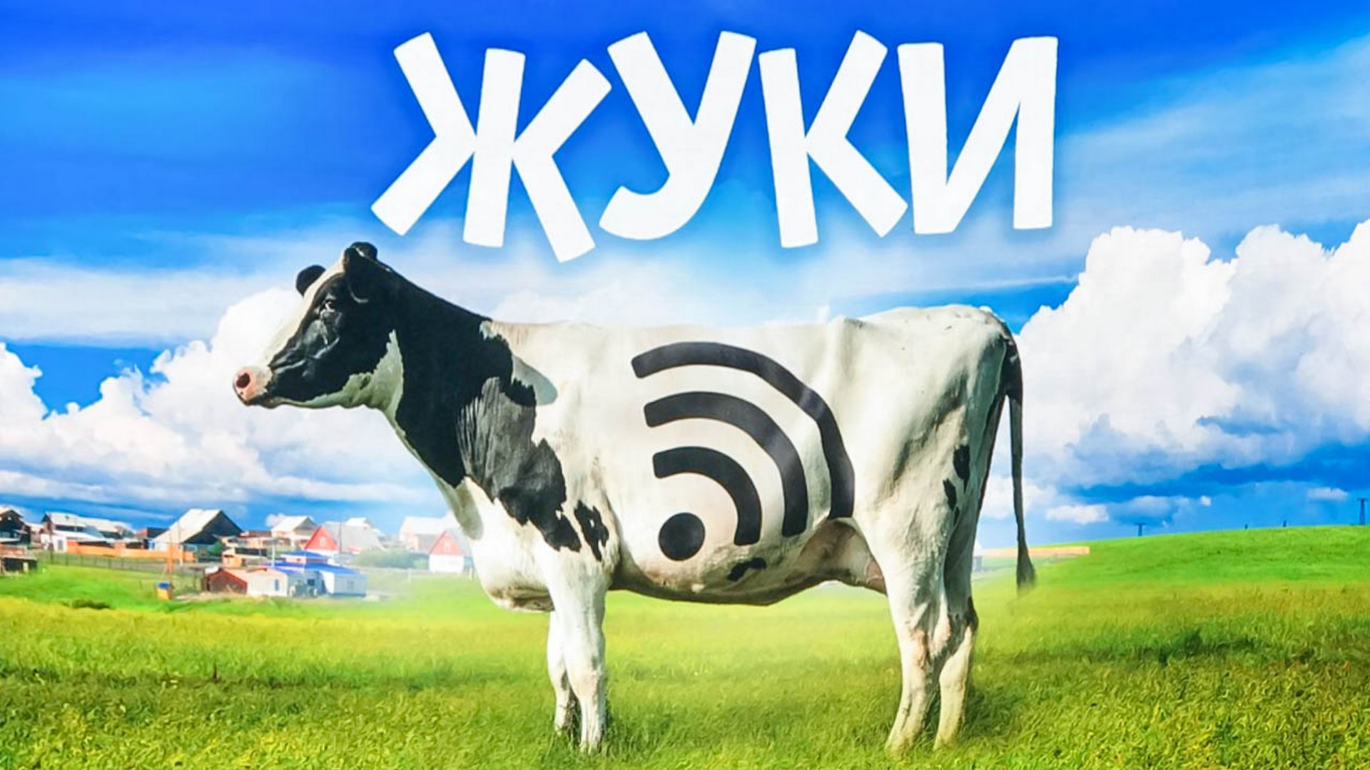 Жуки