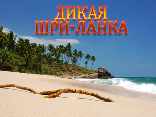 Дикая Шри-Ланка