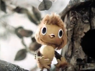 Про кота Васю и охотничью катавасию