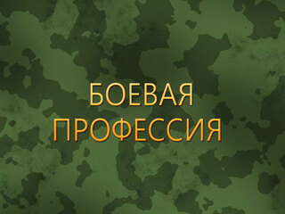 Боевая профессия