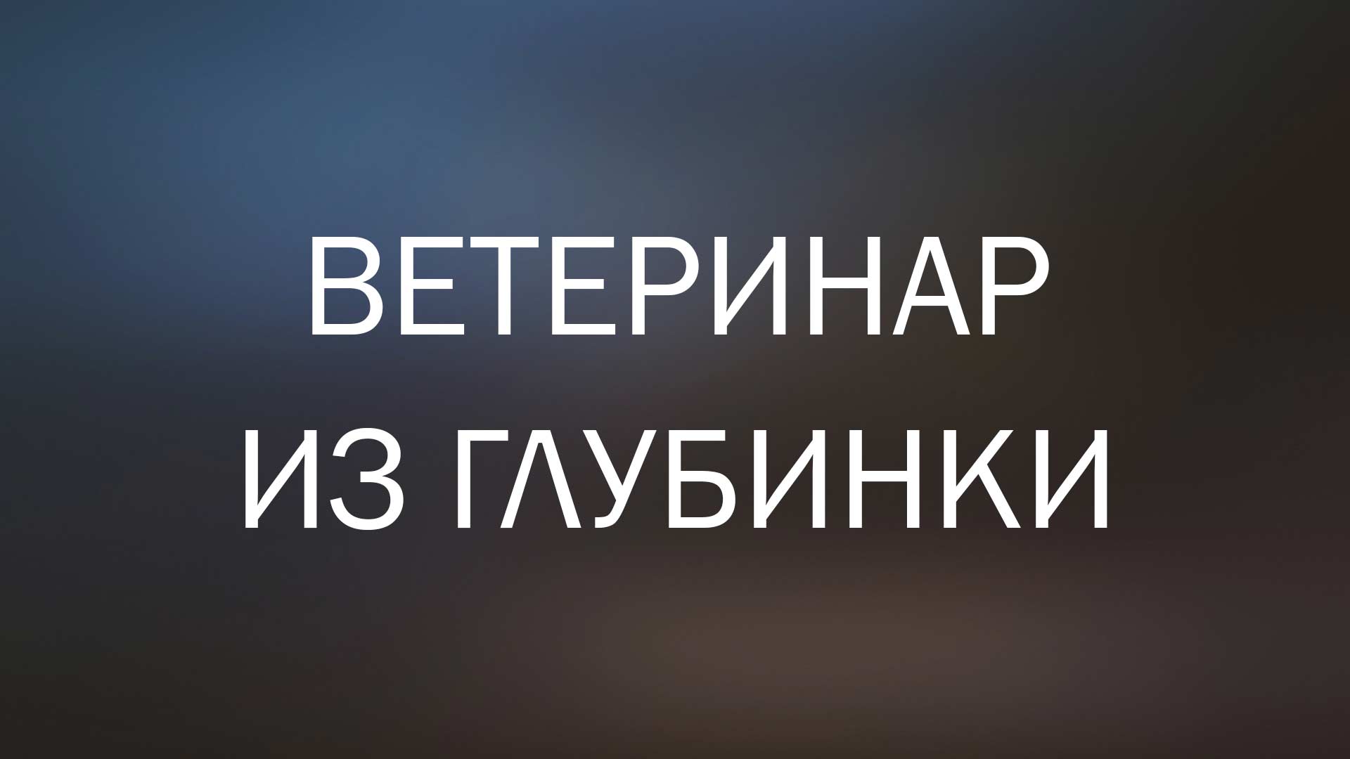 Ветеринар из глубинки