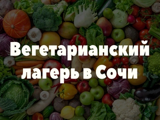 Вегетарианский лагерь в Сочи