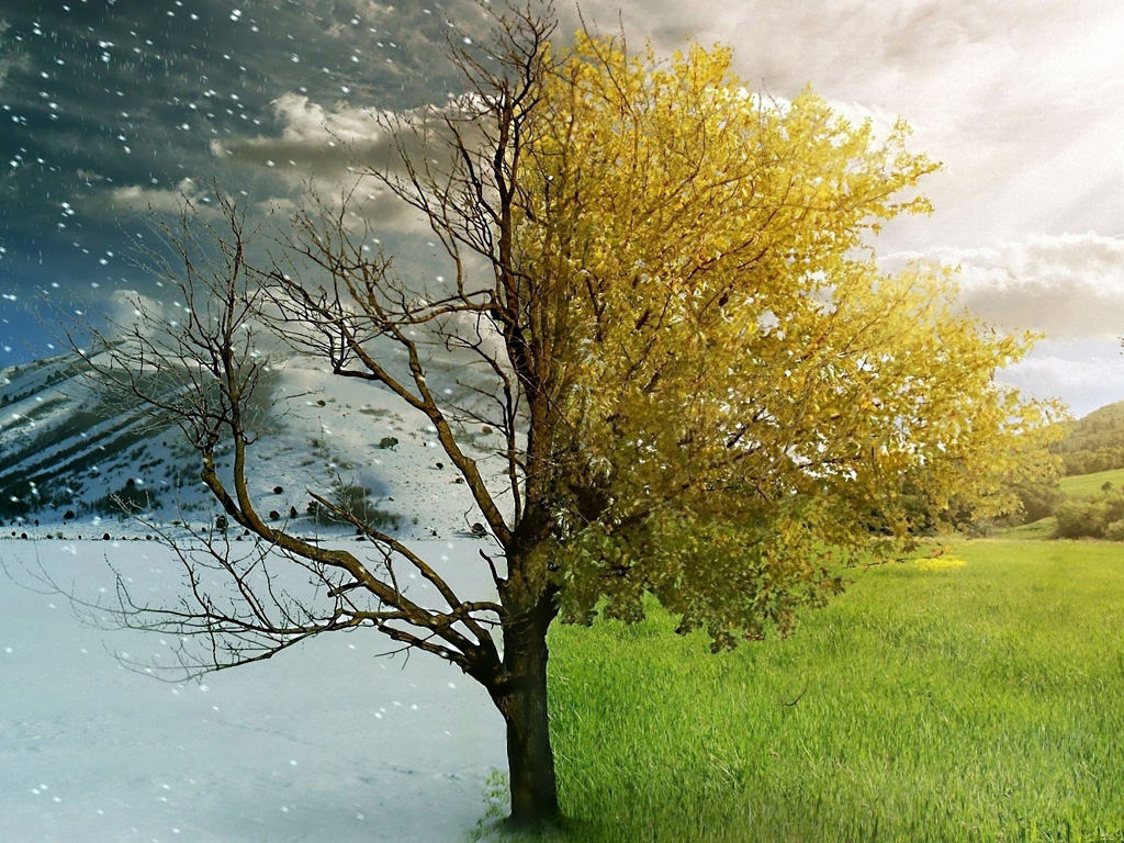 Времена года