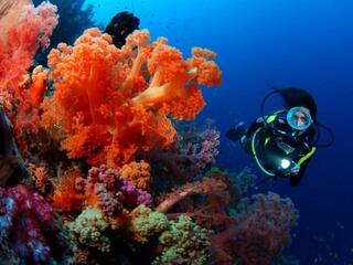 Вокруг света под водой