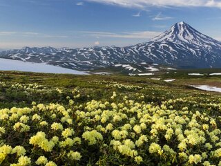Камчатка