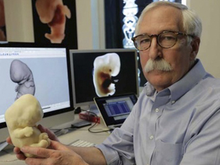 Тайная история человеческой эволюции