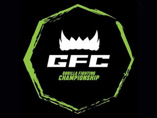 Смешанные единоборства. Gorilla Fighting Championship 22