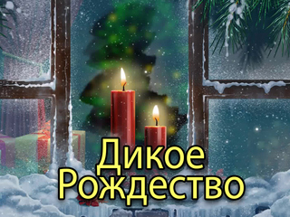 Дикое Рождество