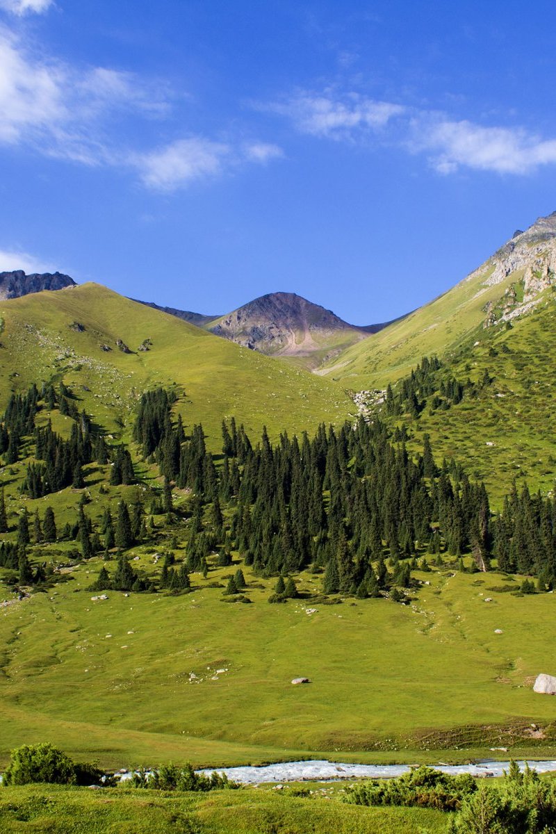 Каракольское ущелье