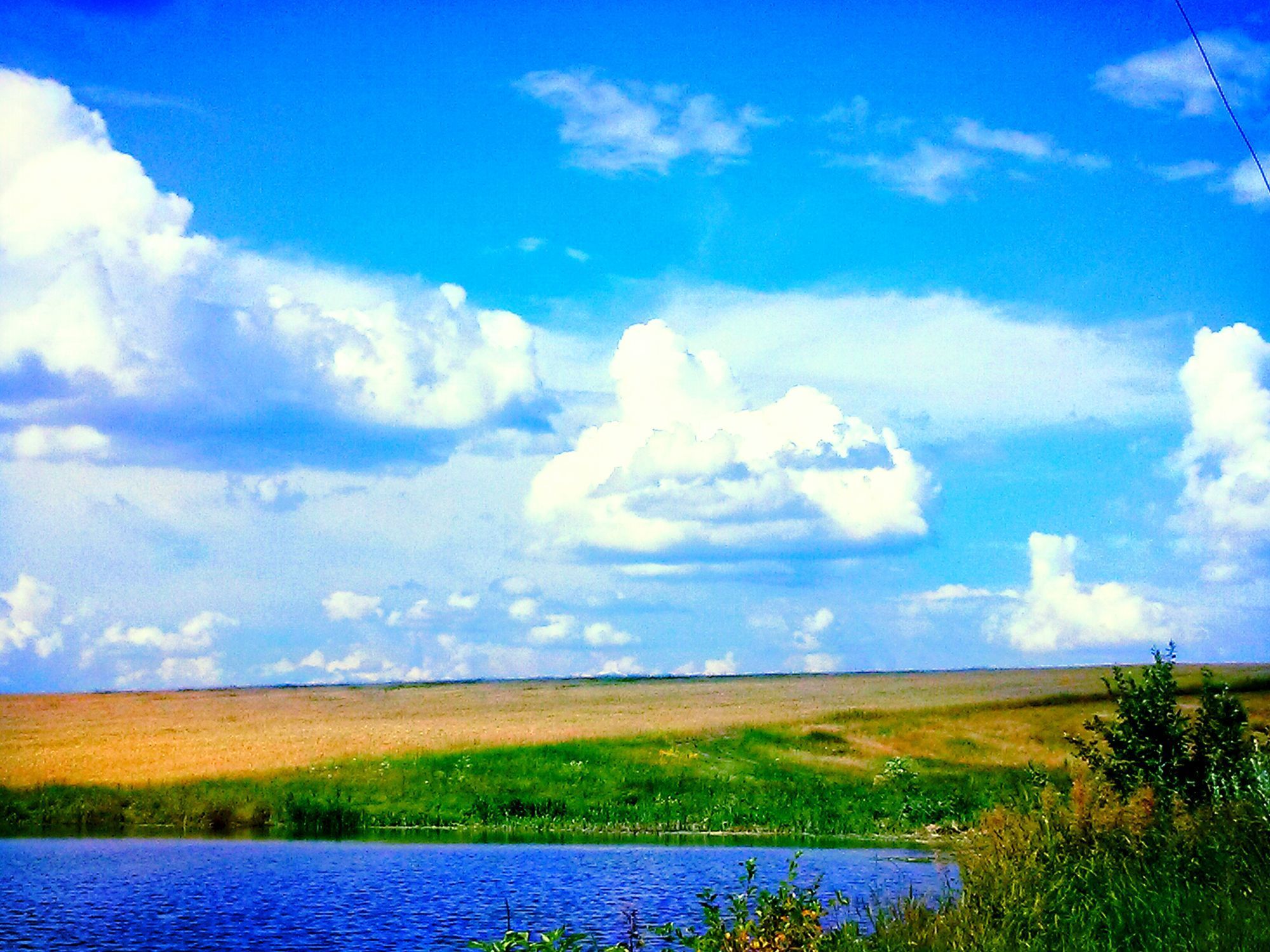 Край родной