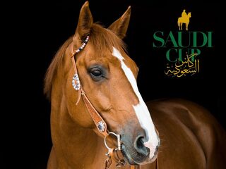 Скачки. Saudi Cup. Трансляция из Саудовской Аравии