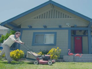 Пластиковые розовые фламинго