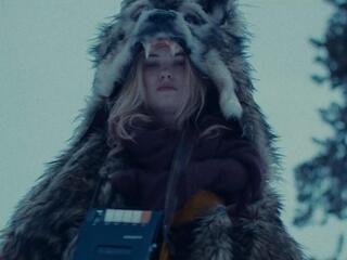 Морская звезда