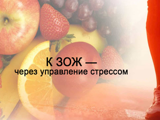 К ЗОЖ - через управление стрессом