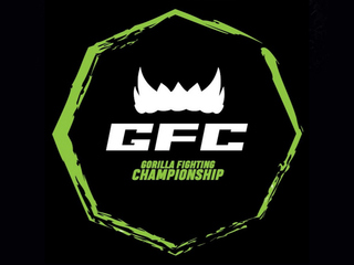 Смешанные единоборства. Gorilla Fighting Championship 25