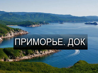 Приморье. ДОК