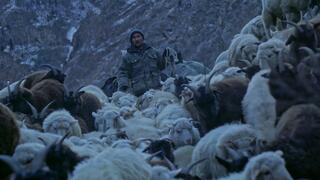 Другая жизнь