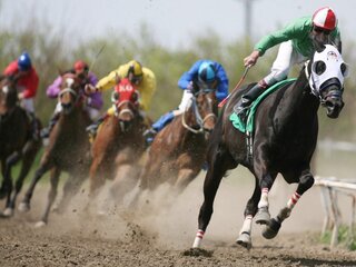 Скачки. "Stradbroke Handicap Day". Трансляция из Австралии