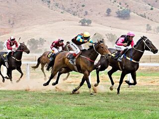 Скачки. "Irish Derby". Трансляция из Ирландии