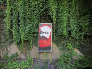 Красиво цветёт волчеягодник